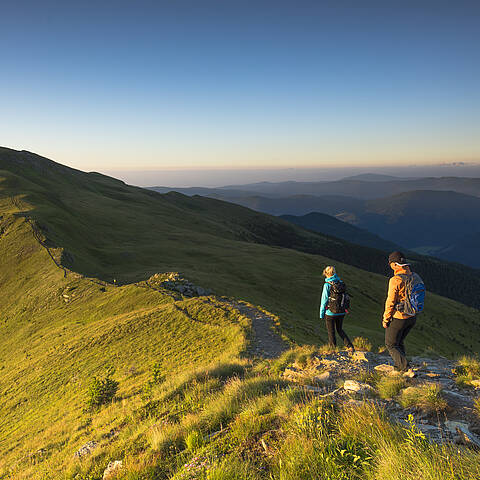 Wandern am Falkert  © Franz Gerdl_MBN Tourismus